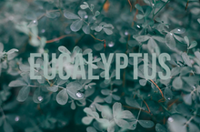 Load image into Gallery viewer, DEAD SEA SALT BATH SOAK