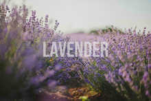 Load image into Gallery viewer, DEAD SEA SALT BATH SOAK *Teacher Gift*